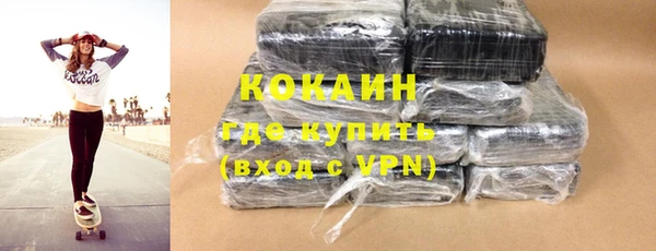 индика Заволжье