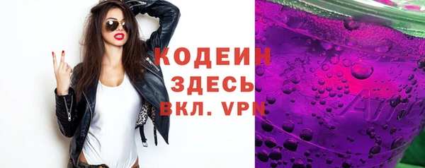 гидра Заводоуковск