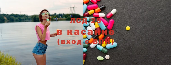 индика Заволжье