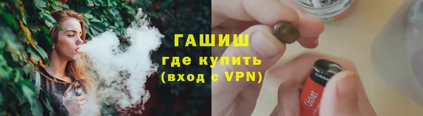 гидра Заводоуковск