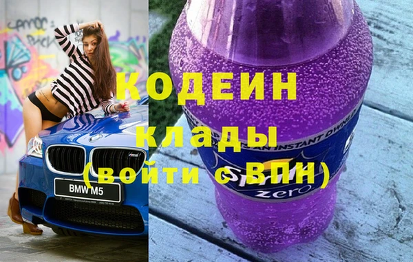 индика Заволжье