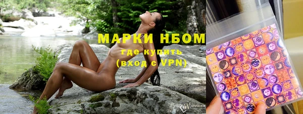 индика Заволжье