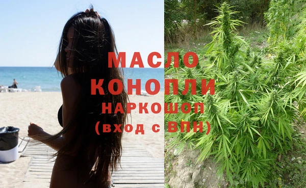 индика Заволжье