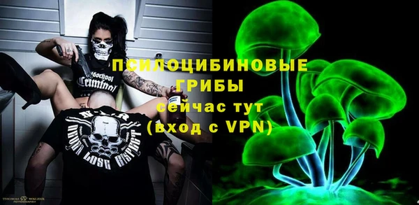 гидра Заводоуковск