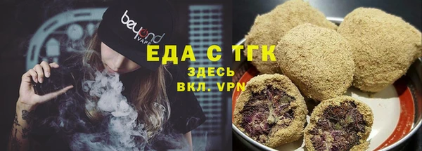 гидра Заводоуковск