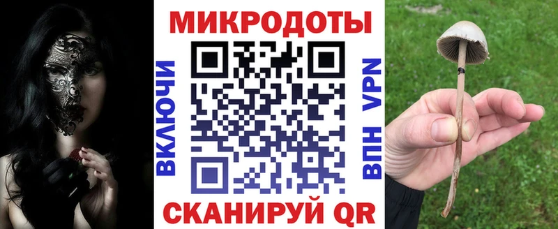 Купить где  Городец  Псилоцибиновые грибы мухоморы 